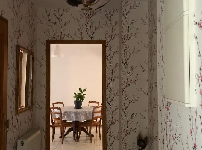 Les Acacias Lägenhet Colmar