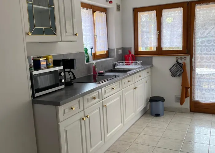 Les Acacias 公寓 科尔马