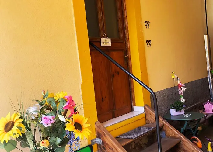 Les Acacias Apartment Colmar