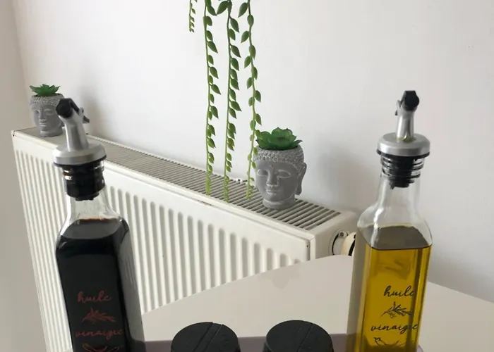 Les Acacias Lägenhet Colmar